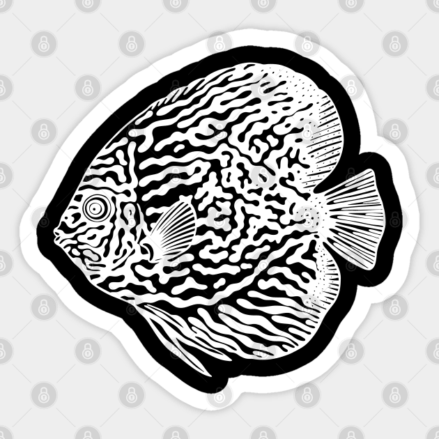 Discus Fish or Pompadour Fish - aquarium lovers black and white design Sticker by Green Paladin